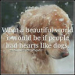 Meet your Posher, Steph